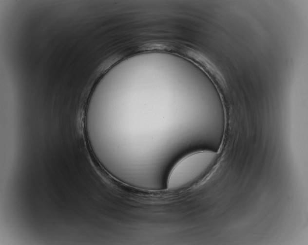 X0000099491233200805150921