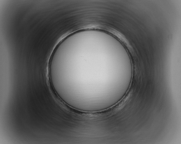X0000099491234200805150921