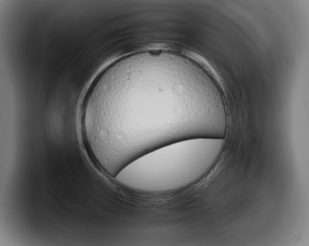 X0000099491235200805150921