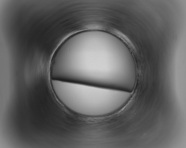 X0000099491236200805150921