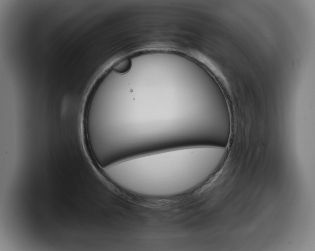 X0000099491237200805150921