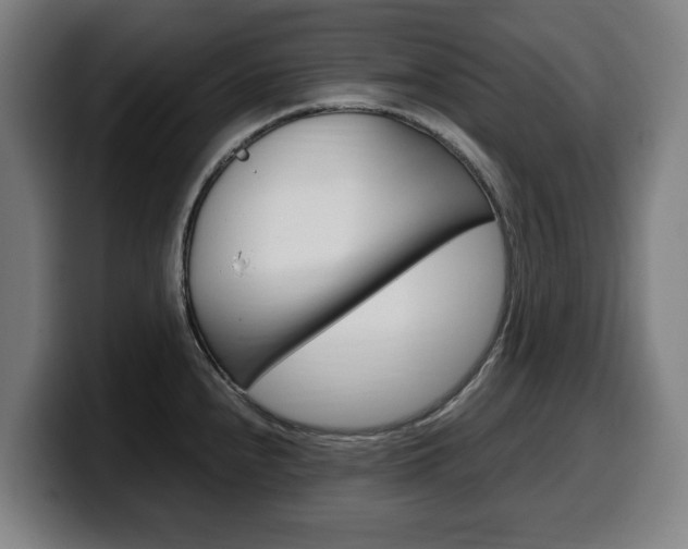 X0000099491240200805150921