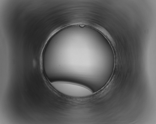 X0000099491242200805150921