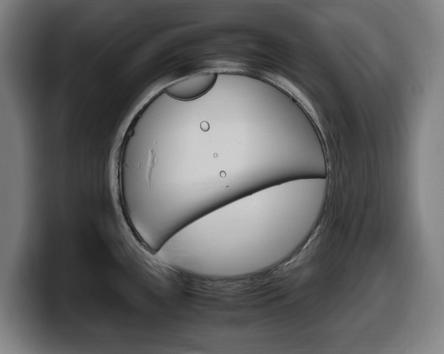 X0000099491243200805150921