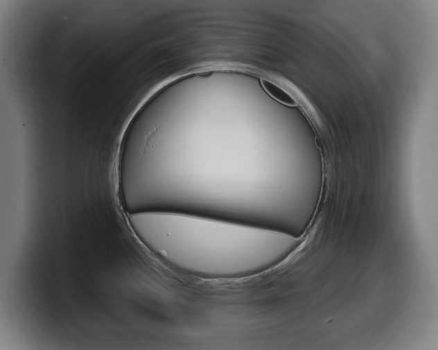 X0000099491244200805150921