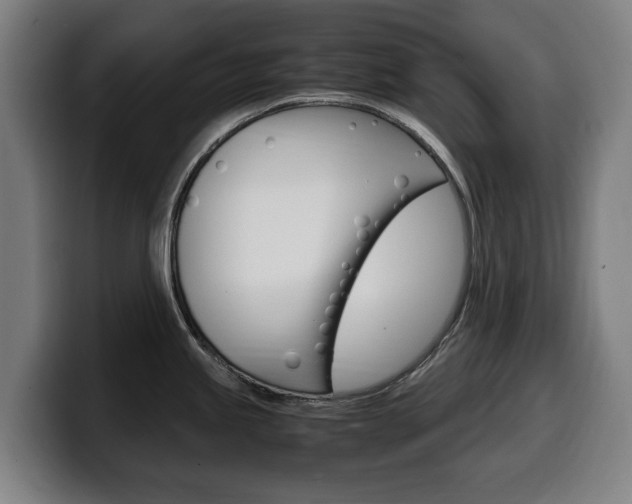 X0000099491245200805150921