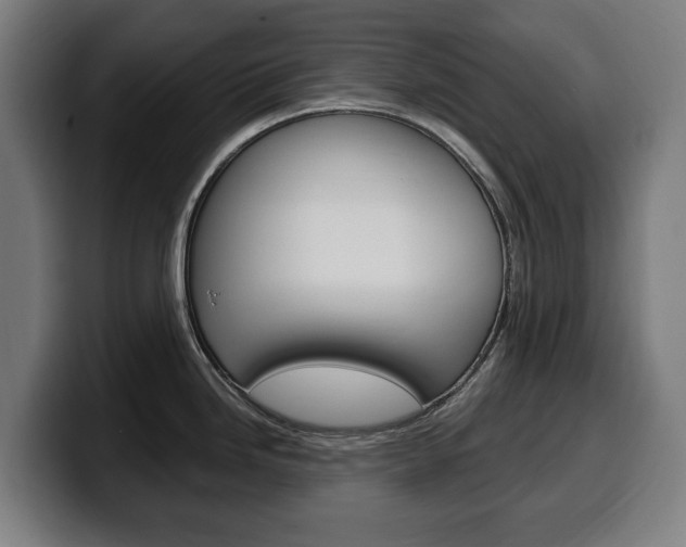 X0000099491246200805150921