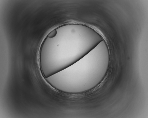 X0000099491247200805150921