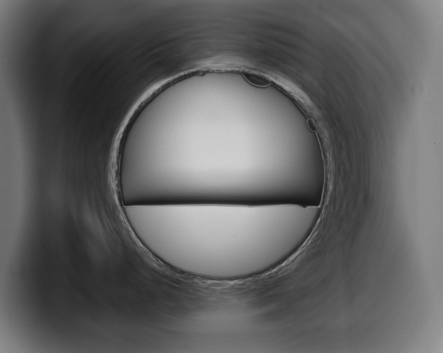X0000099491248200805150921