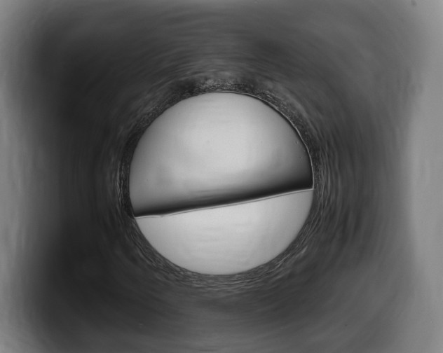 X0000099491250200805150920