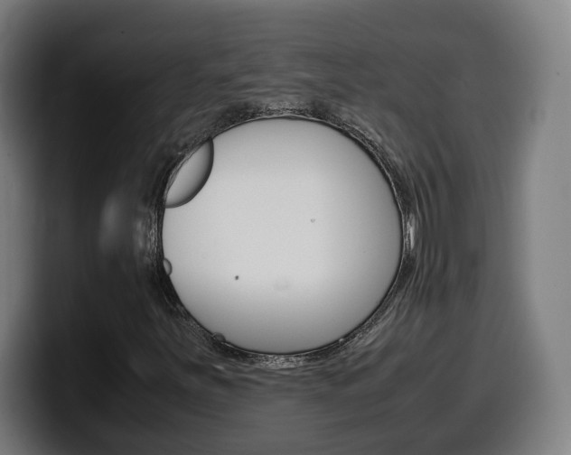 X0000099491251200805150920