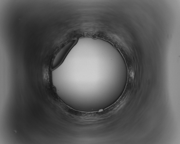 X0000099491252200805150920