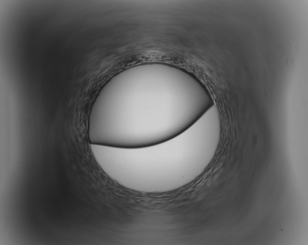 X0000099491253200805150920