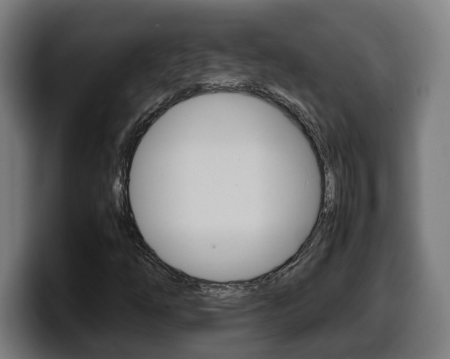 X0000099491254200805150920