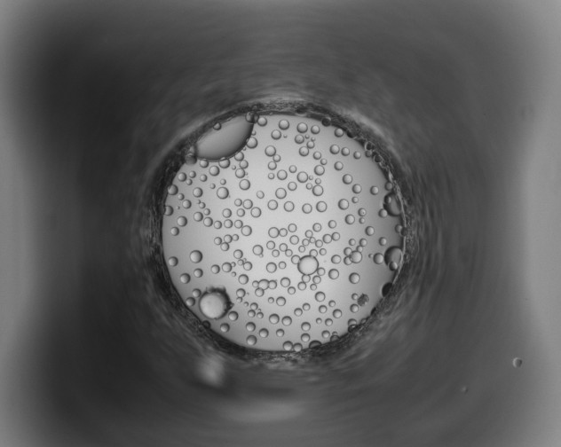 X0000099491255200805150920