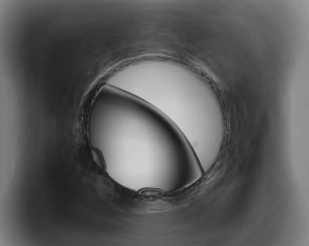 X0000099491256200805150920