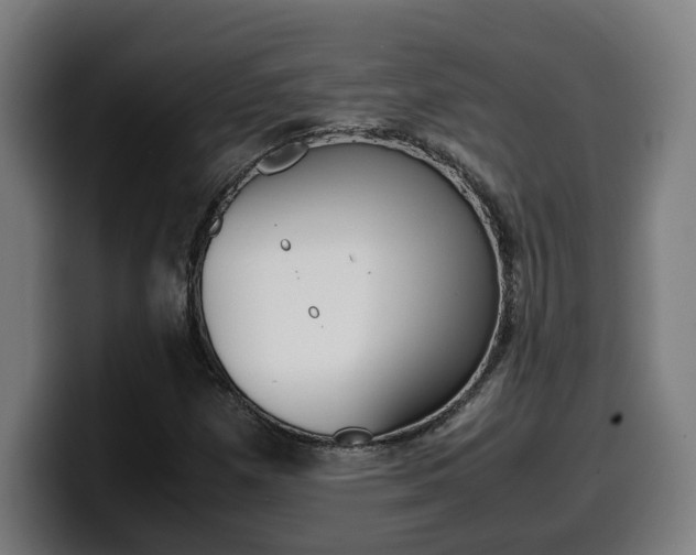 X0000099491257200805150920