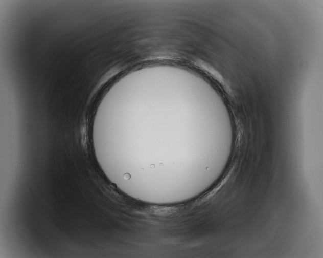 X0000099491258200805150920