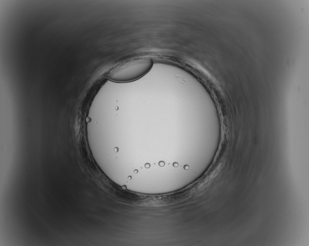 X0000099491259200805150920