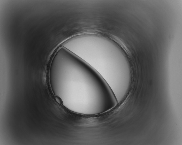 X0000099491260200805150920