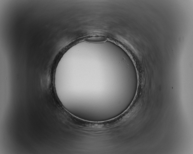 X0000099491261200805150920