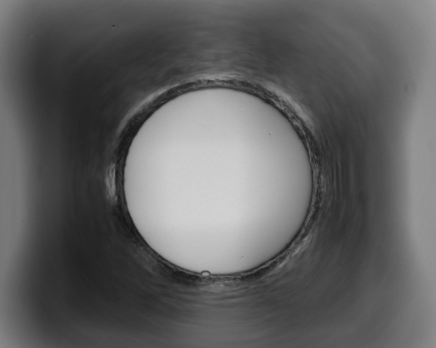 X0000099491262200805150920