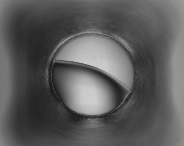 X0000099491264200805150920