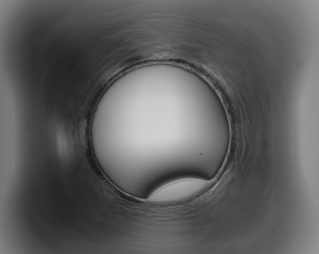 X0000099491265200805150920