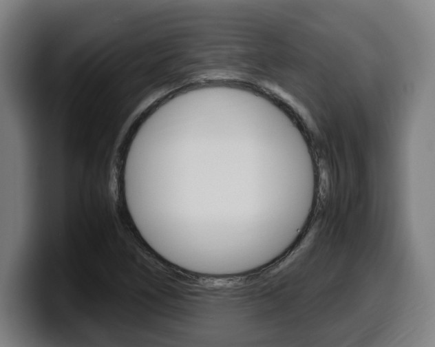X0000099491266200805150920