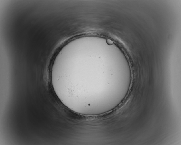 X0000099491267200805150920