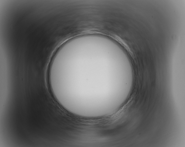 X0000099491269200805150920