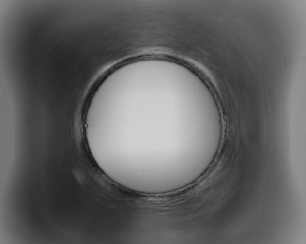X0000099491271200805150920