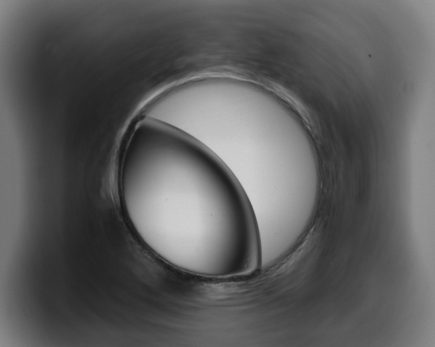 X0000099491272200805150920