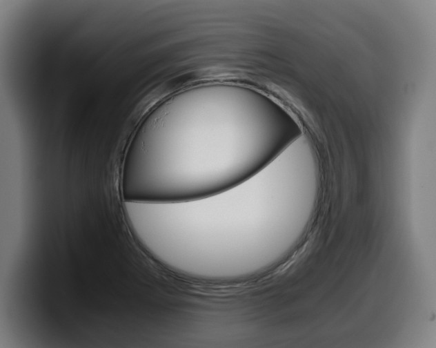 X0000099491273200805150920