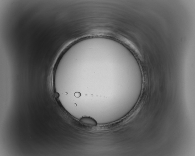 X0000099491275200805150920