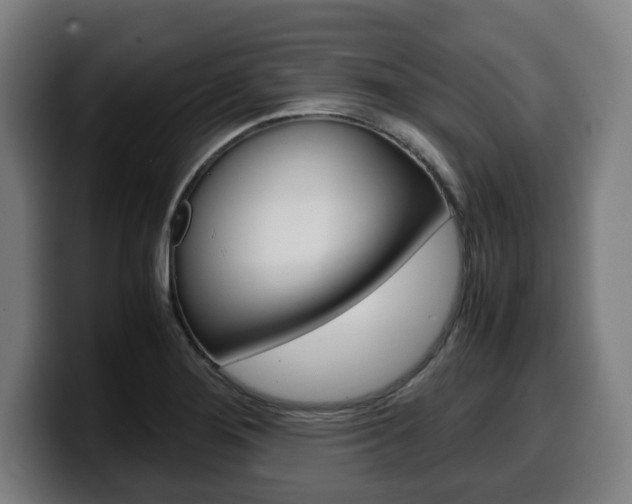 X0000099491276200805150920