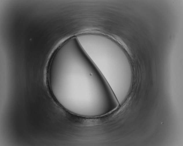X0000099491277200805150920