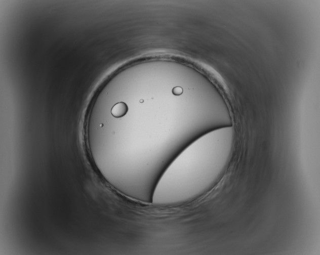 X0000099491279200805150920
