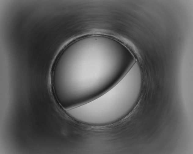 X0000099491280200805150920