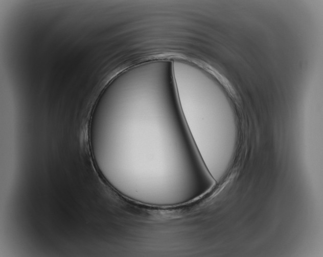 X0000099491281200805150920