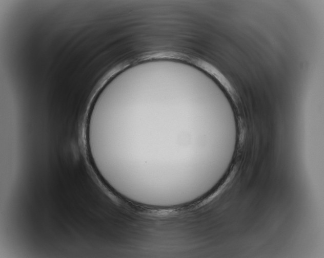 X0000099491282200805150920