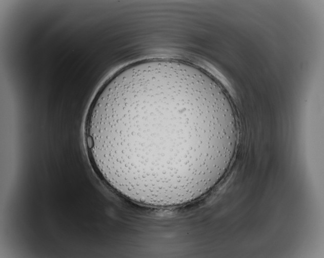 X0000099491283200805150920