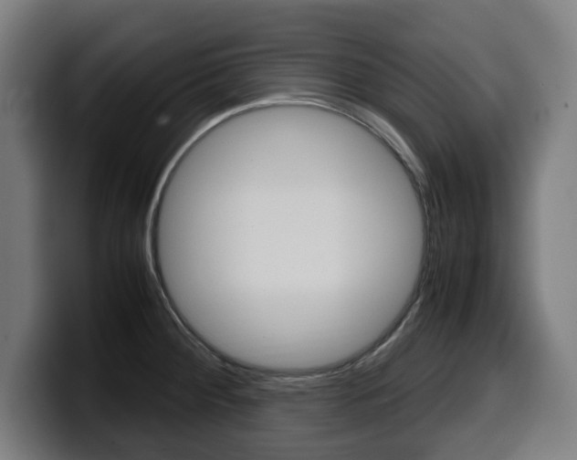 X0000099491284200805150920