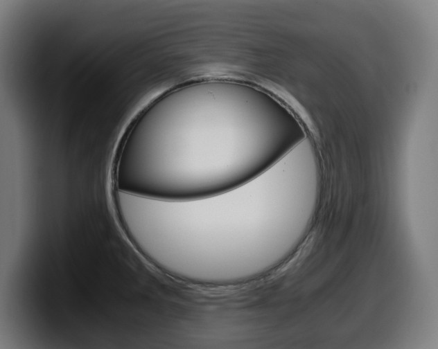 X0000099491285200805150920