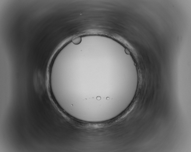 X0000099491286200805150920