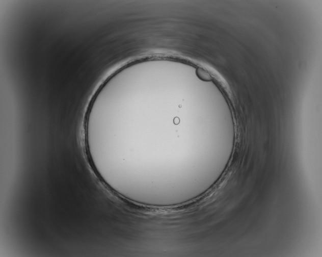 X0000099491287200805150920