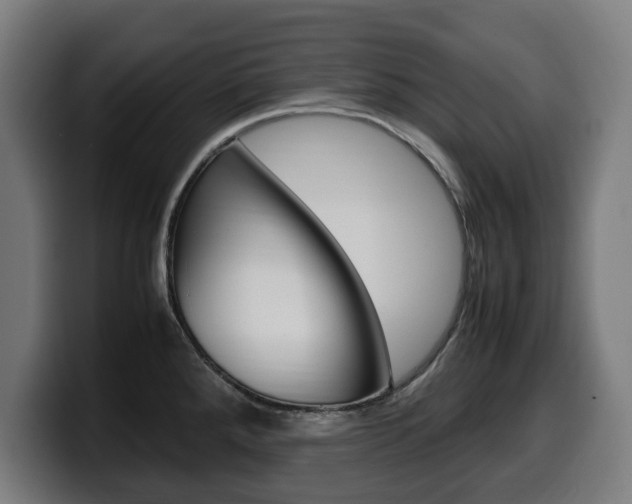 X0000099491288200805150920