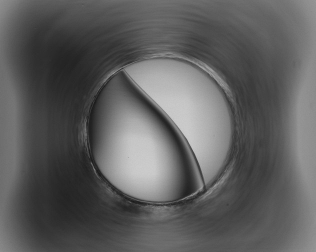 X0000099491289200805150920