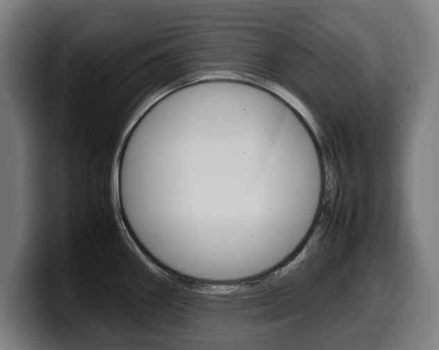 X0000099491290200805150920