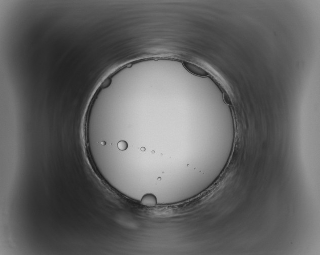 X0000099491291200805150920